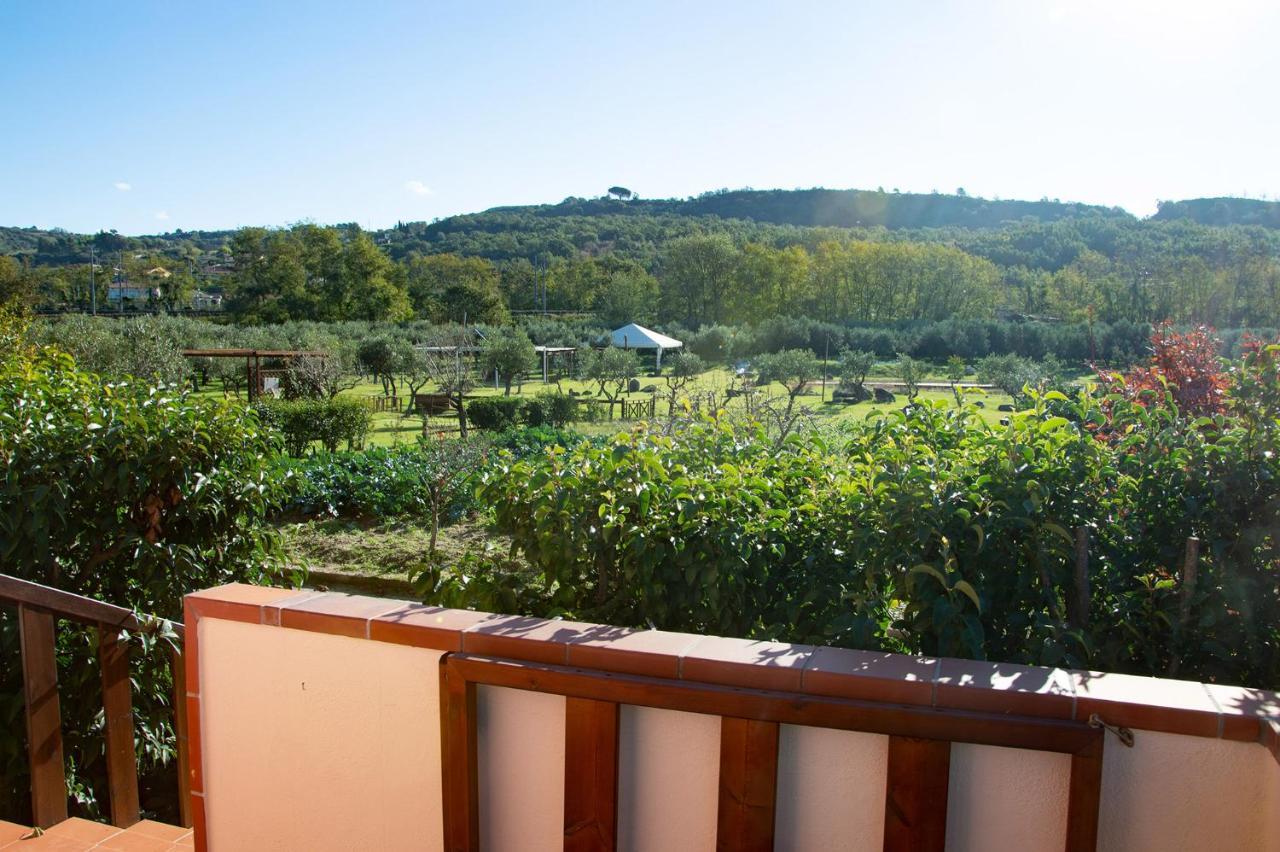 Iscairia Country House 阿谢亚 外观 照片